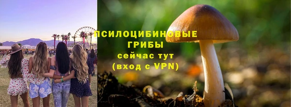 эйфоретик Бугульма