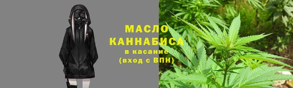 тгк Бородино