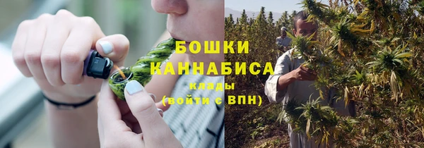 тгк Бородино