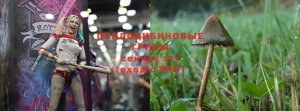 спиды Бронницы