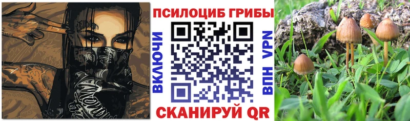 KRAKEN tor  Энгельс  Галлюциногенные грибы ЛСД 
